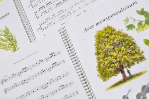 diseno pagina web musica omnia ediciones