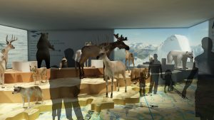 EulenArt Wildlife Museum interiorismo Sala America