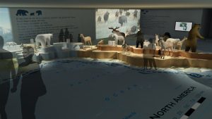 EulenArt Wildlife Museum interiorismo Sala America