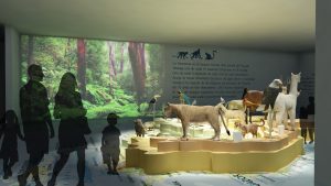 EulenArt Wildlife Museum interiorismo Sala America