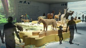 EulenArt Wildlife Museum interiorismo Sala America