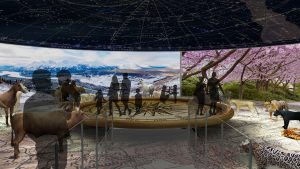 EulenArt Wildlife Museum interiorismo Sala Asia Oceania