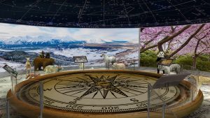 EulenArt Wildlife Museum interiorismo Sala Asia Oceania