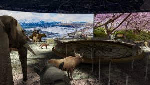 EulenArt Wildlife Museum interiorismo Sala Asia Oceania