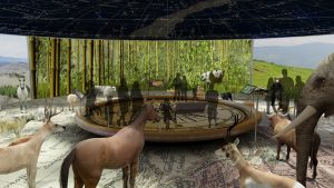 EulenArt Wildlife Museum interiorismo Sala Asia Oceania