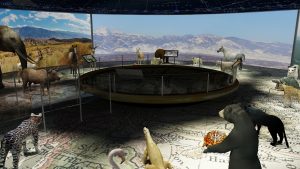 EulenArt Wildlife Museum interiorismo Sala Asia Oceania