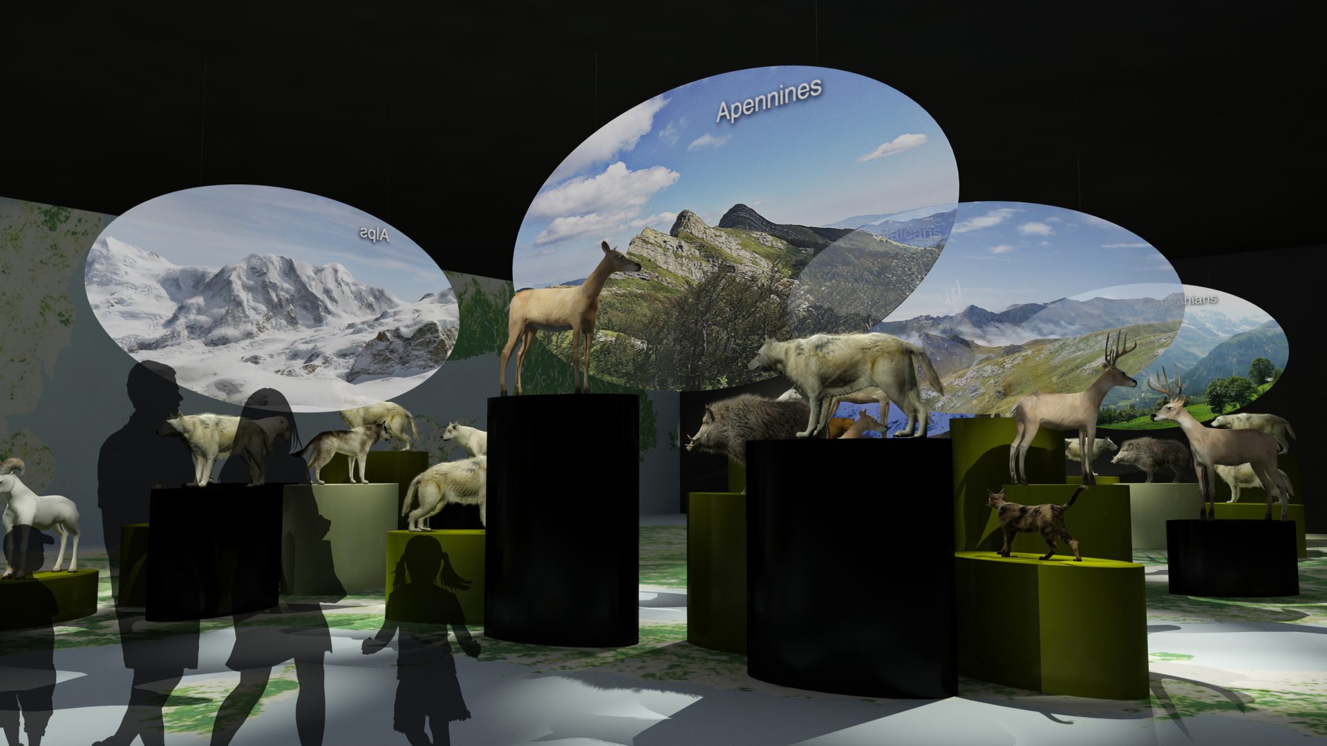 Miami Wildlife Museum · Europa