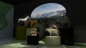 EulenArt Wildlife Museum interiorismo Sala Europa