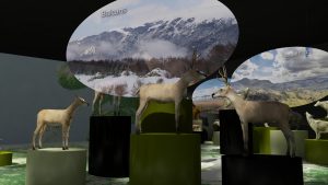 EulenArt Wildlife Museum interiorismo Sala Europa