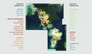 EulenArt Wildlife Museum interiorismo Sala America