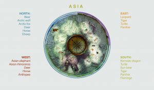 EulenArt Wildlife Museum interiorismo Sala Asia Oceania