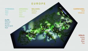 EulenArt Wildlife Museum interiorismo Sala Europa