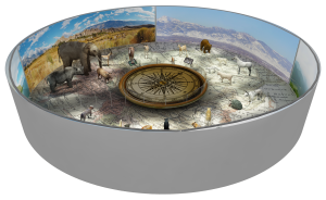 EulenArt Wildlife Museum interiorismo Sala Asia Oceania