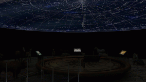 EulenArt Wildlife Museum interiorismo Sala Asia Oceania