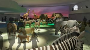 EulenArt Wildlife Museum interiorismo Sala Africa