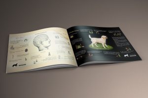 Infografias Fundacion Canis Majoris terapia asistida animales