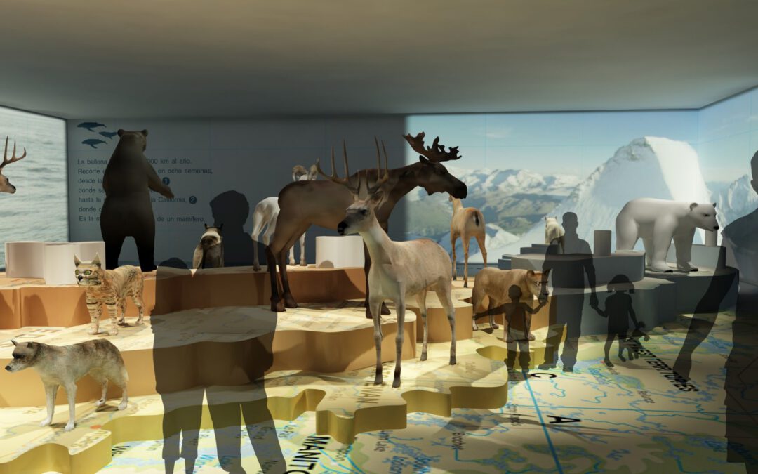 EulenArt Wildlife Museum interiorismo Sala America