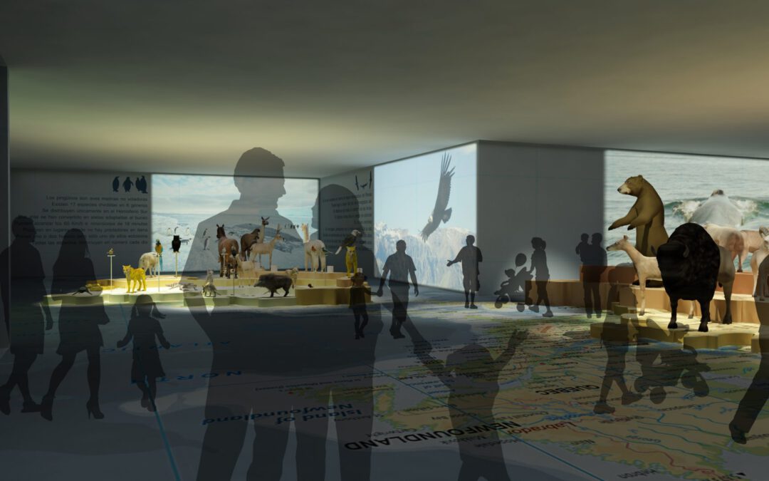 EulenArt Wildlife Museum interiorismo Sala America