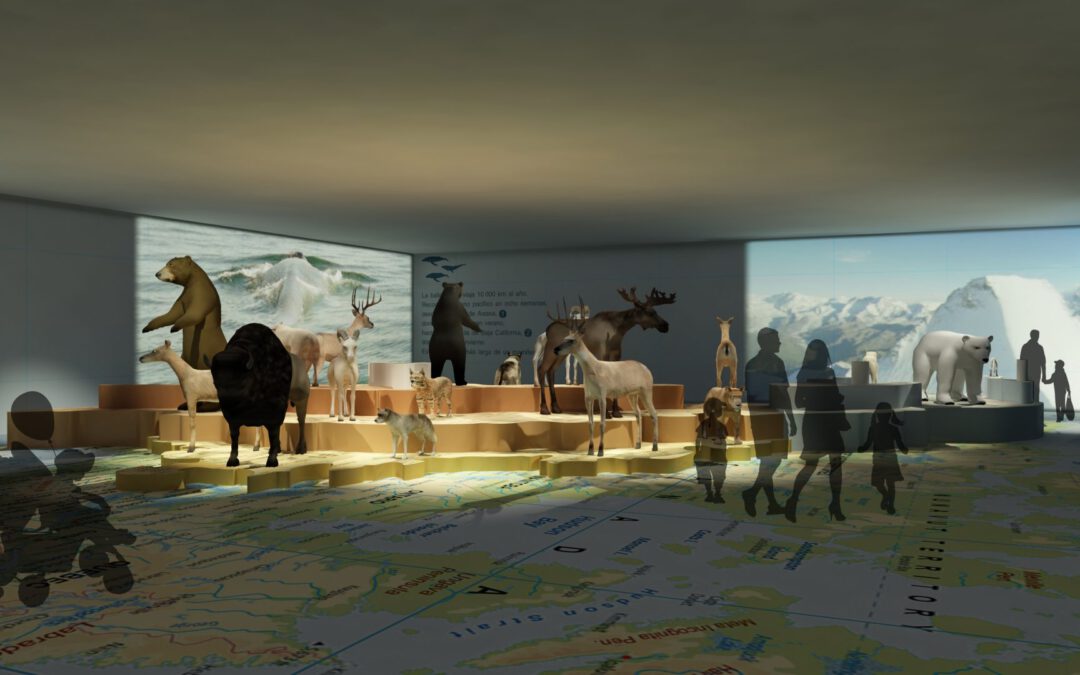 EulenArt Wildlife Museum interiorismo Sala America