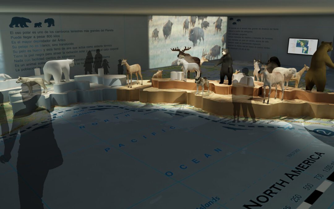 EulenArt Wildlife Museum interiorismo Sala America