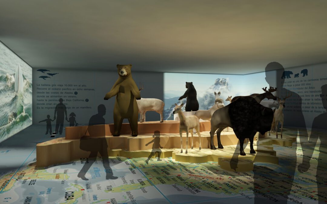EulenArt Wildlife Museum interiorismo Sala America