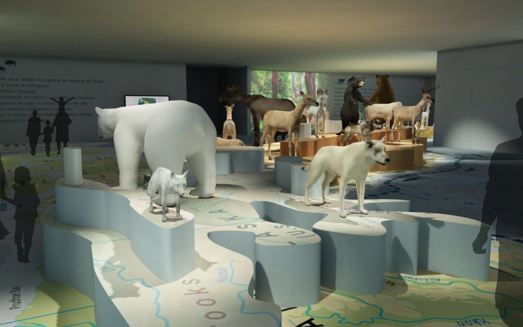 EulenArt Wildlife Museum interiorismo Sala America