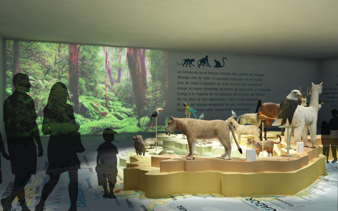 EulenArt Wildlife Museum interiorismo Sala America