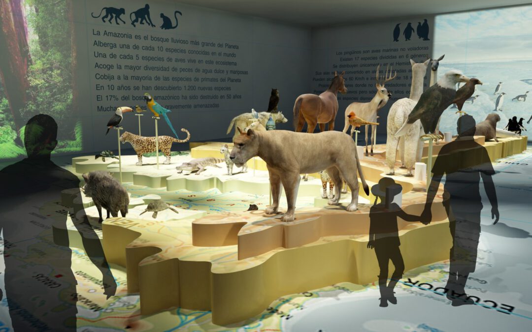 EulenArt Wildlife Museum interiorismo Sala America