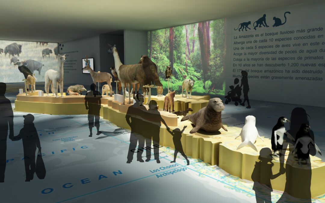 EulenArt Wildlife Museum interiorismo Sala America