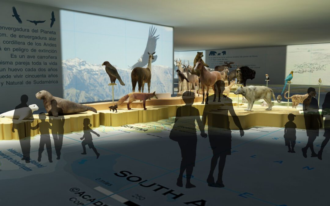 EulenArt Wildlife Museum interiorismo Sala America