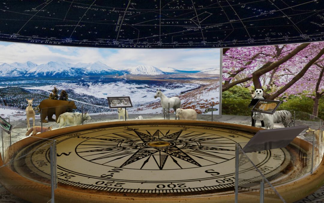 EulenArt Wildlife Museum interiorismo Sala Asia Oceania