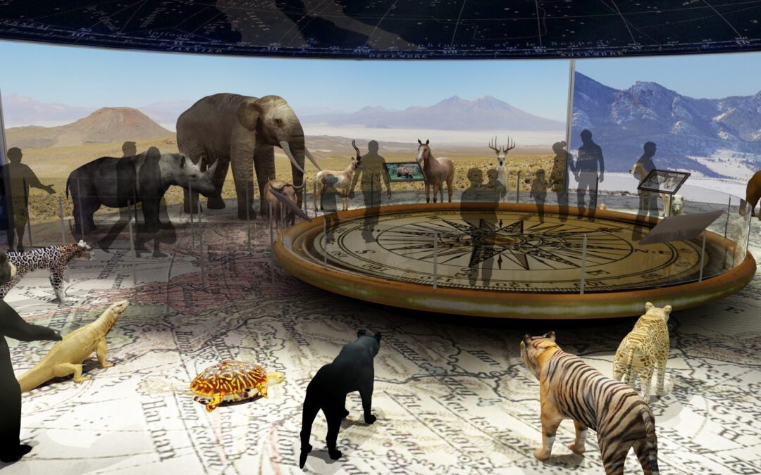 EulenArt Wildlife Museum interiorismo Sala Asia Oceania