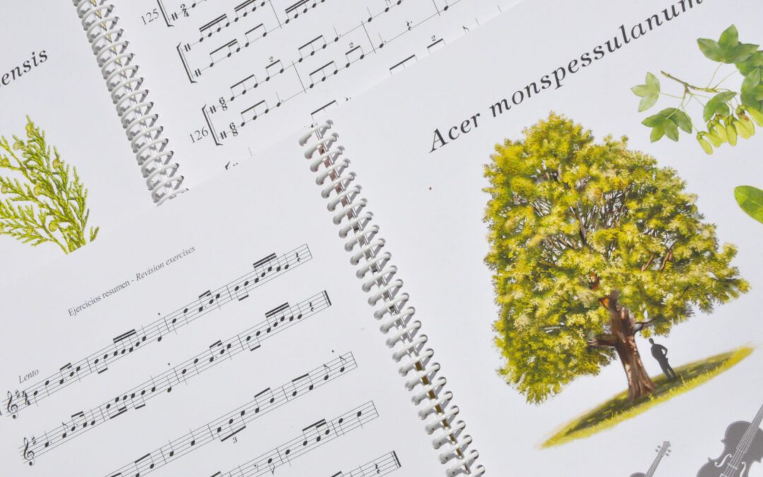 diseno pagina web musica omnia ediciones