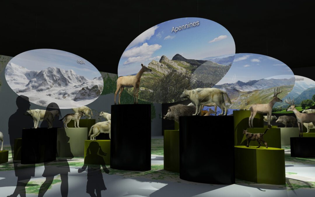 EulenArt Wildlife Museum interiorismo Sala Europa