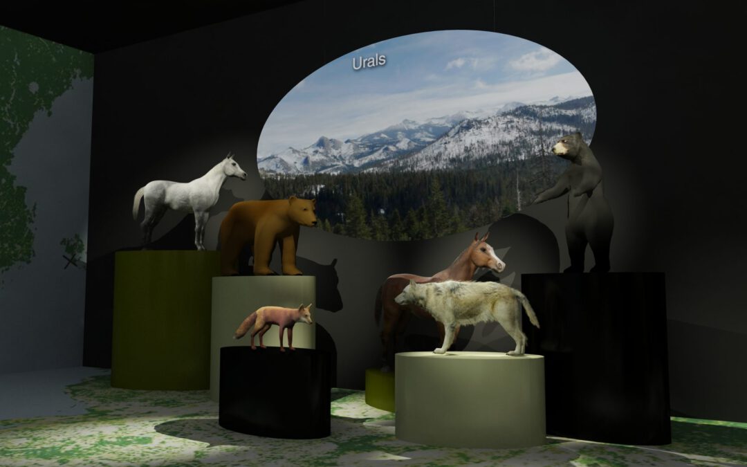 EulenArt Wildlife Museum interiorismo Sala Europa