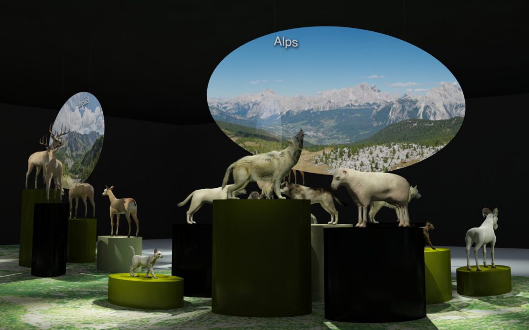 EulenArt Wildlife Museum interiorismo Sala Europa