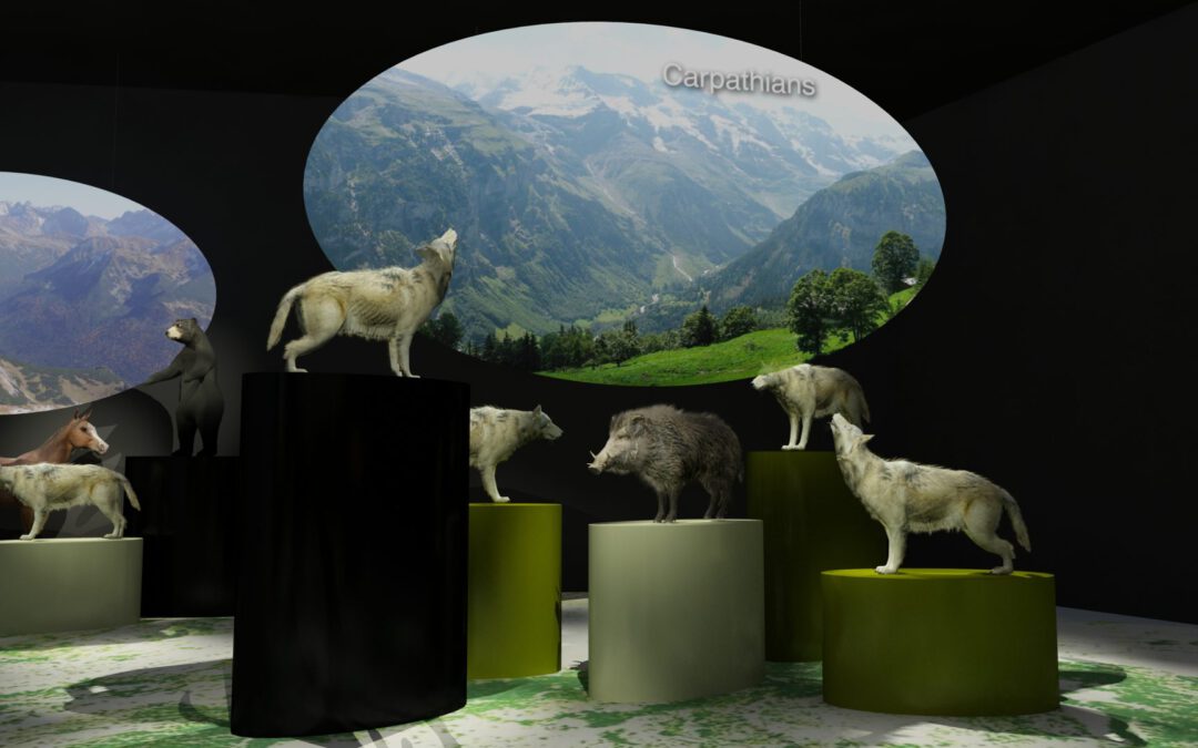 EulenArt Wildlife Museum interiorismo Sala Europa
