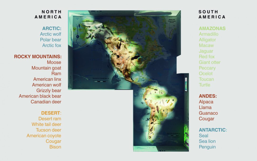 EulenArt Wildlife Museum interiorismo Sala America