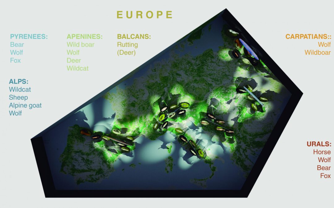 EulenArt Wildlife Museum interiorismo Sala Europa