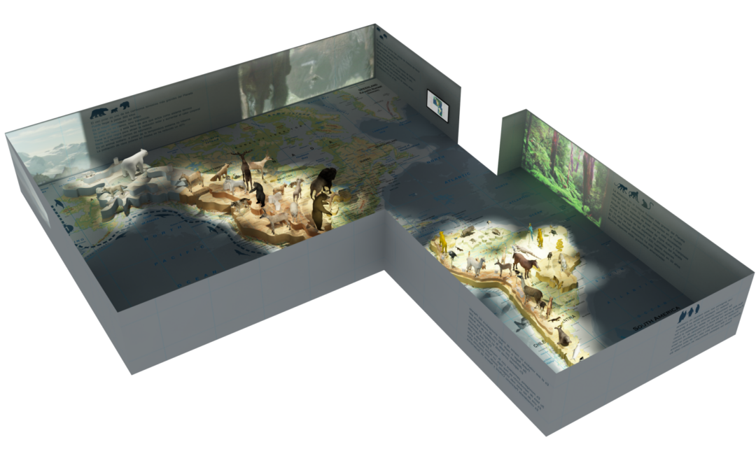 EulenArt Wildlife Museum interiorismo Sala America