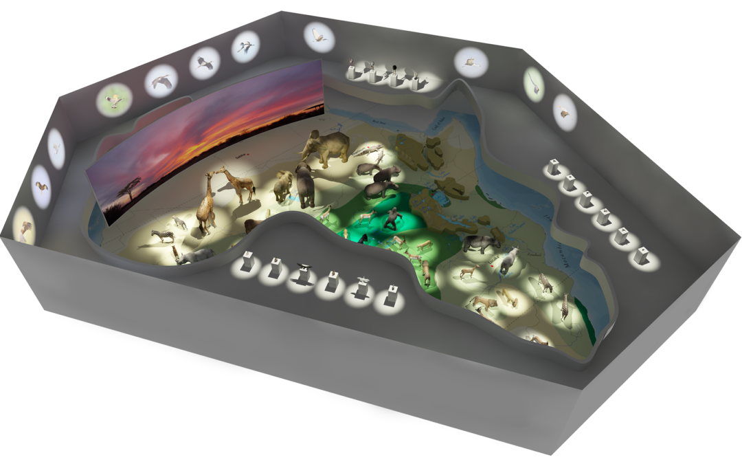 EulenArt Wildlife Museum interiorismo Sala Africa perspectiva exterior