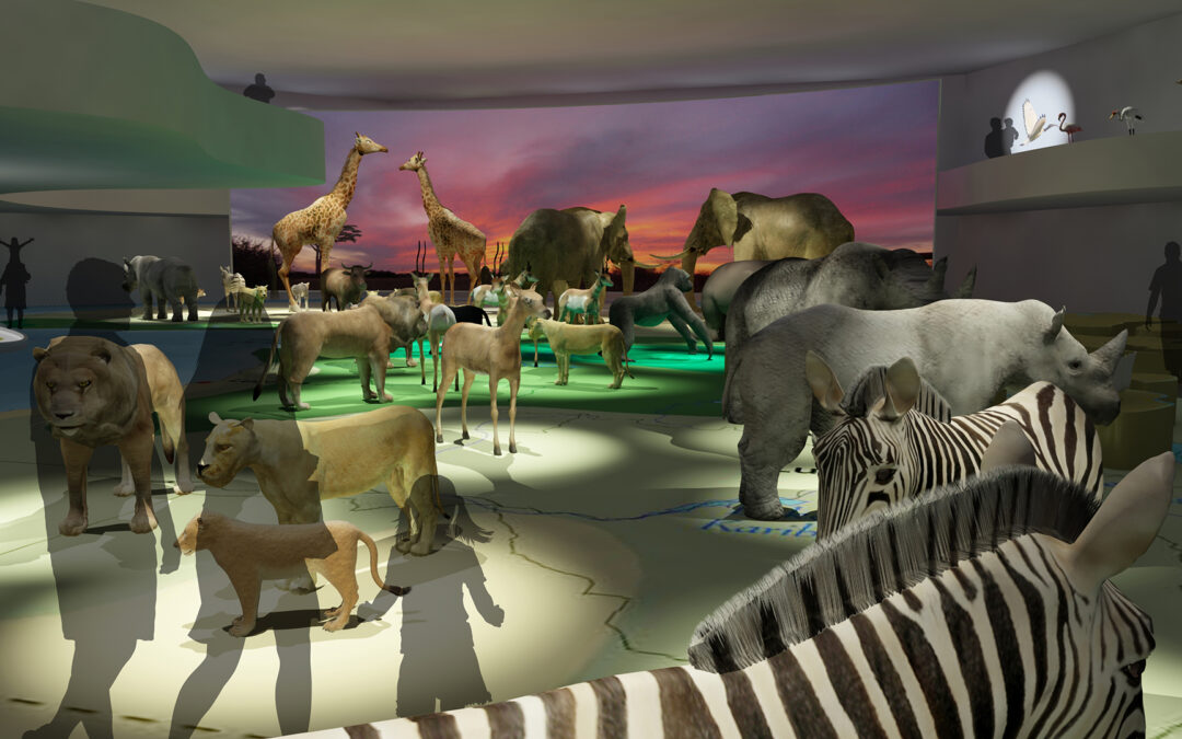 EulenArt Wildlife Museum interiorismo Sala Africa