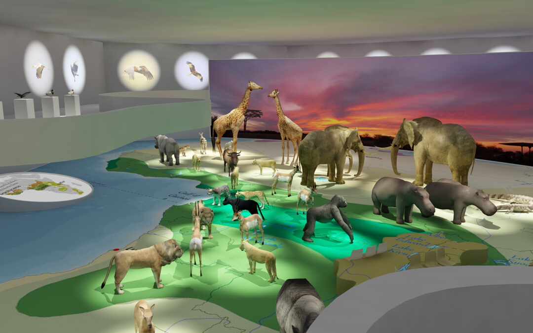 EulenArt Wildlife Museum interiorismo Sala Africa