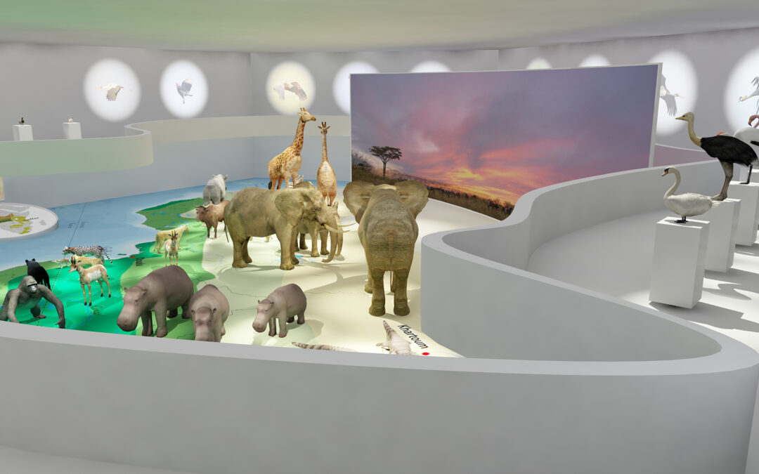 EulenArt Wildlife Museum interiorismo Sala Africa