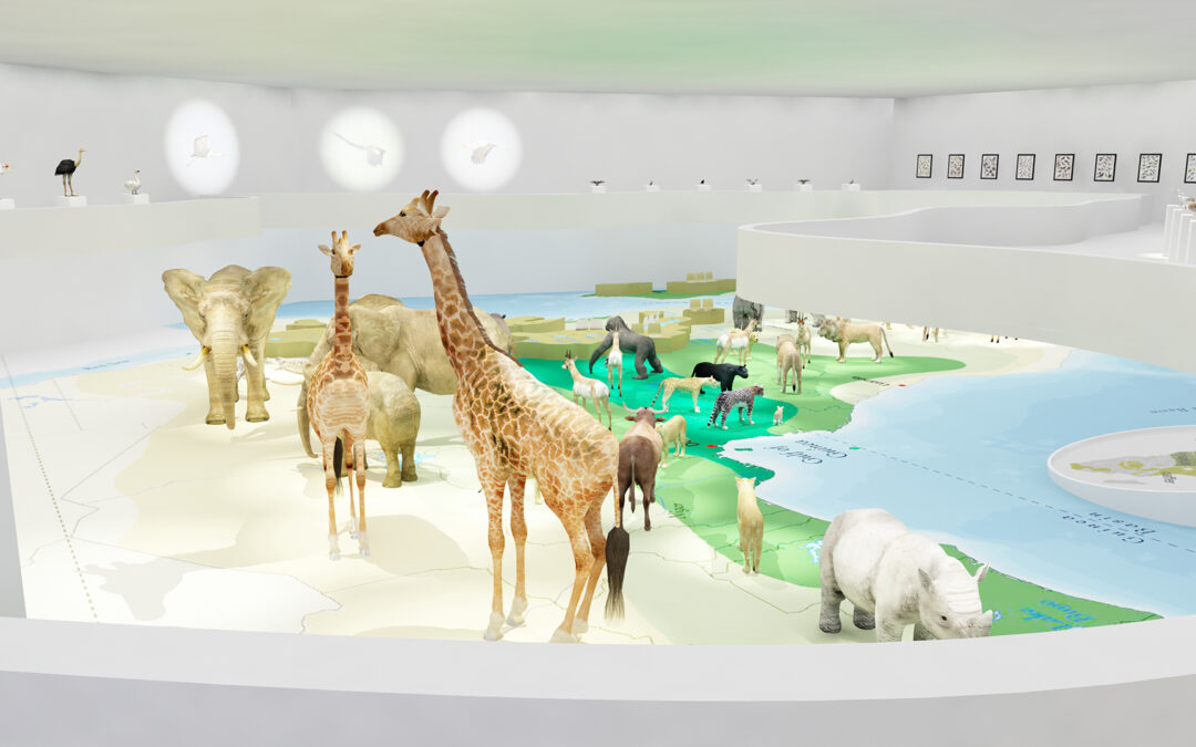 EulenArt Wildlife Museum interiorismo Sala Africa