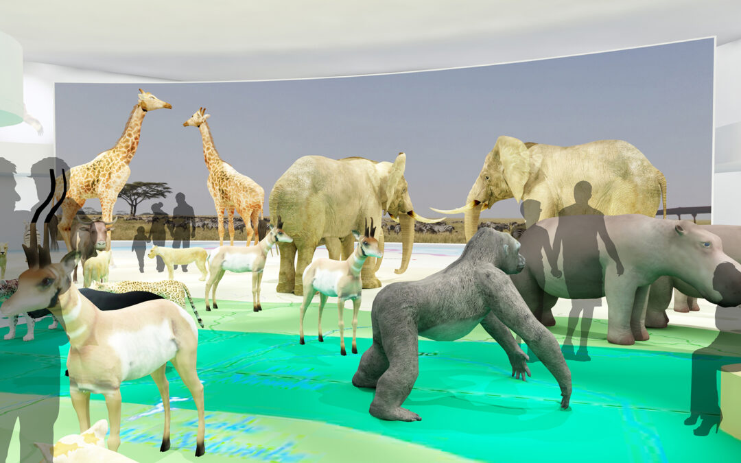 EulenArt Wildlife Museum interiorismo Sala Africa