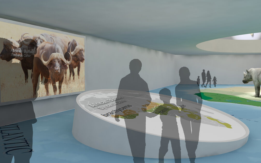 EulenArt Wildlife Museum interiorismo Sala Africa