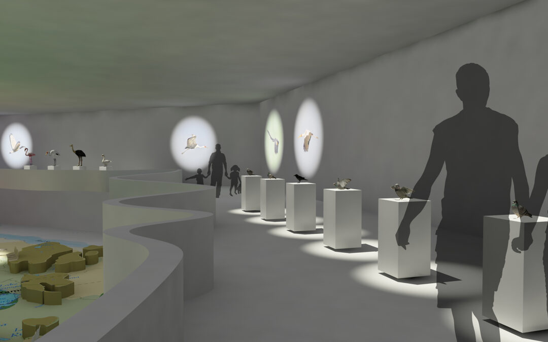 EulenArt Wildlife Museum interiorismo Sala Africa