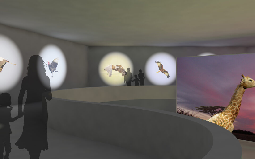 EulenArt Wildlife Museum interiorismo Sala Africa