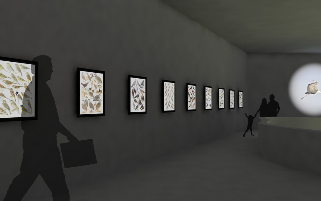 EulenArt Wildlife Museum interiorismo Sala Africa